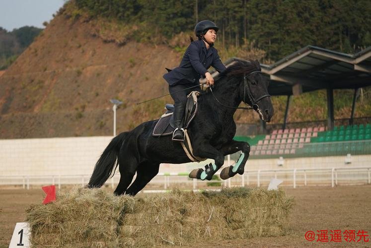 马术让山村青少年握紧“人生缰绳”