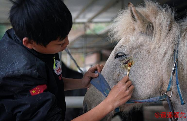 马术让山村青少年握紧“人生缰绳”