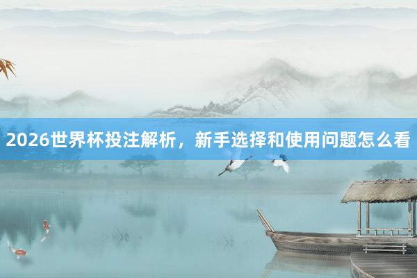 2026世界杯投注解析，新手选择和使用问题怎么看