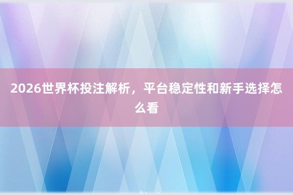 2026世界杯投注解析，平台稳定性和新手选择怎么看