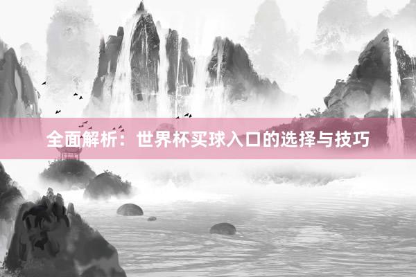 全面解析:世界杯买球入口的选择与技巧